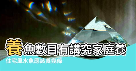 養魚數量吉數|【風水 魚 數量】風水魚缸養幾條才旺財？揭開三界五行的最佳數。